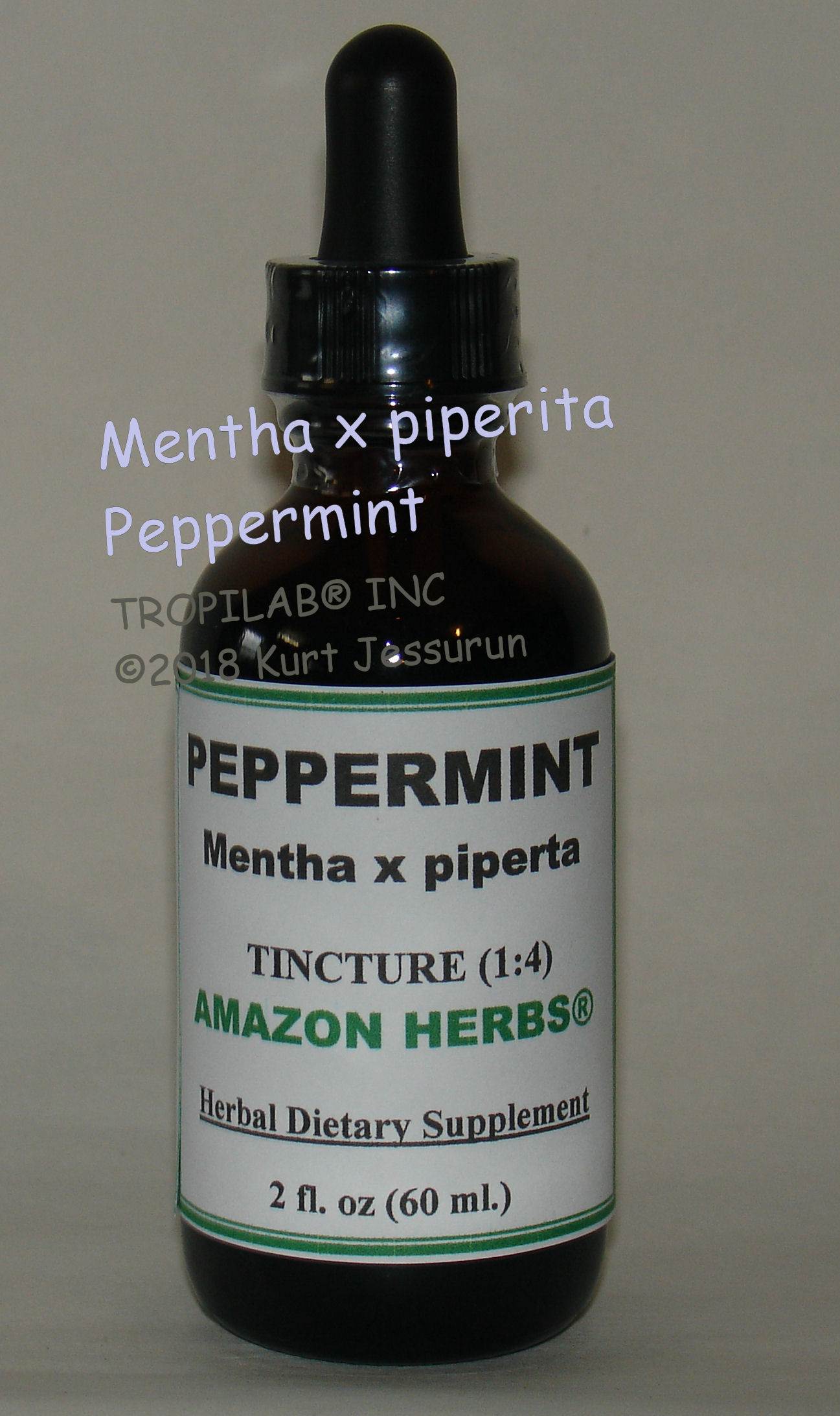 Mentha X piperita - Peppermint tincture